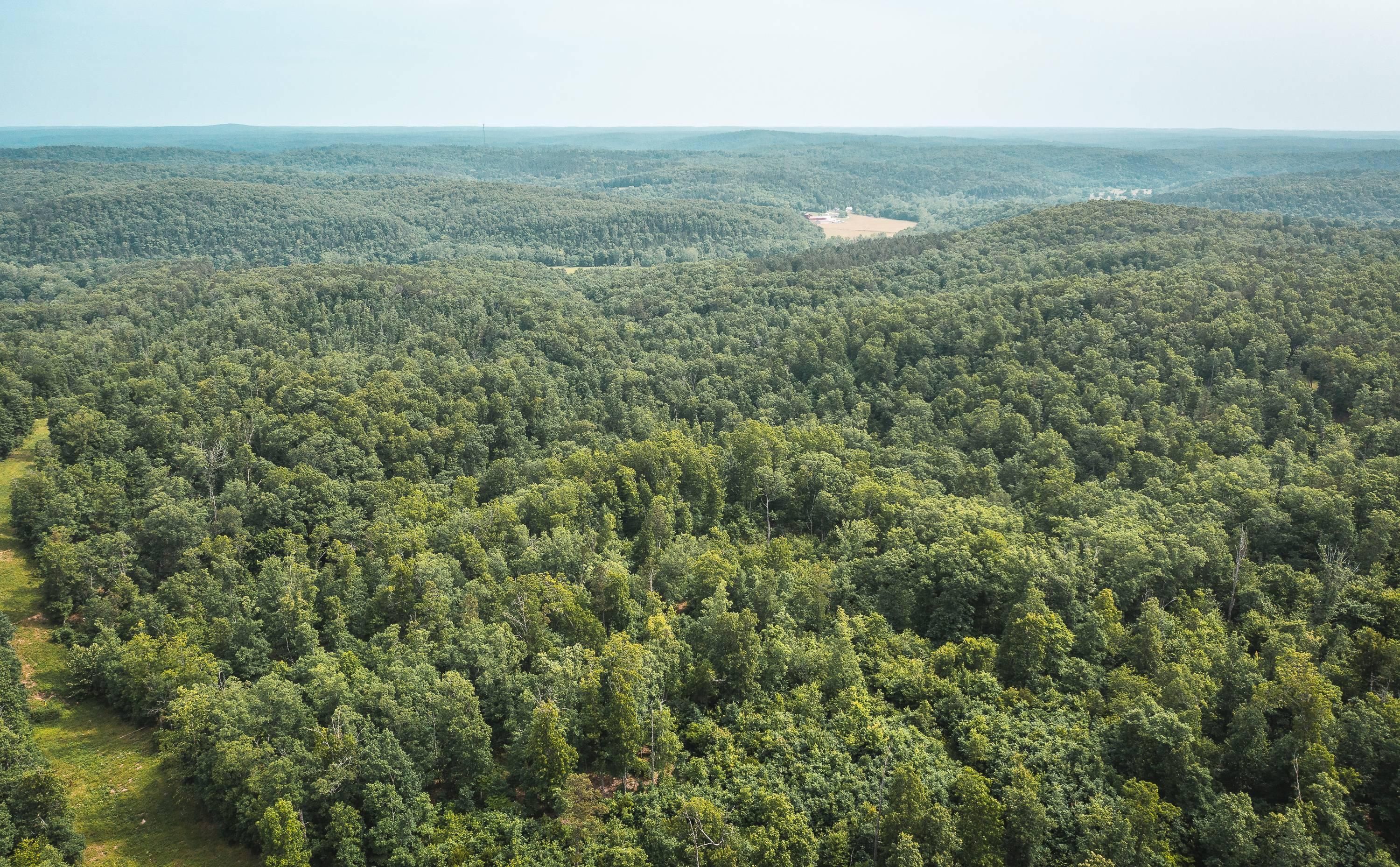 Raymondville, Texas County, MO Farms and Ranches, Hunting Property for sale Property ID