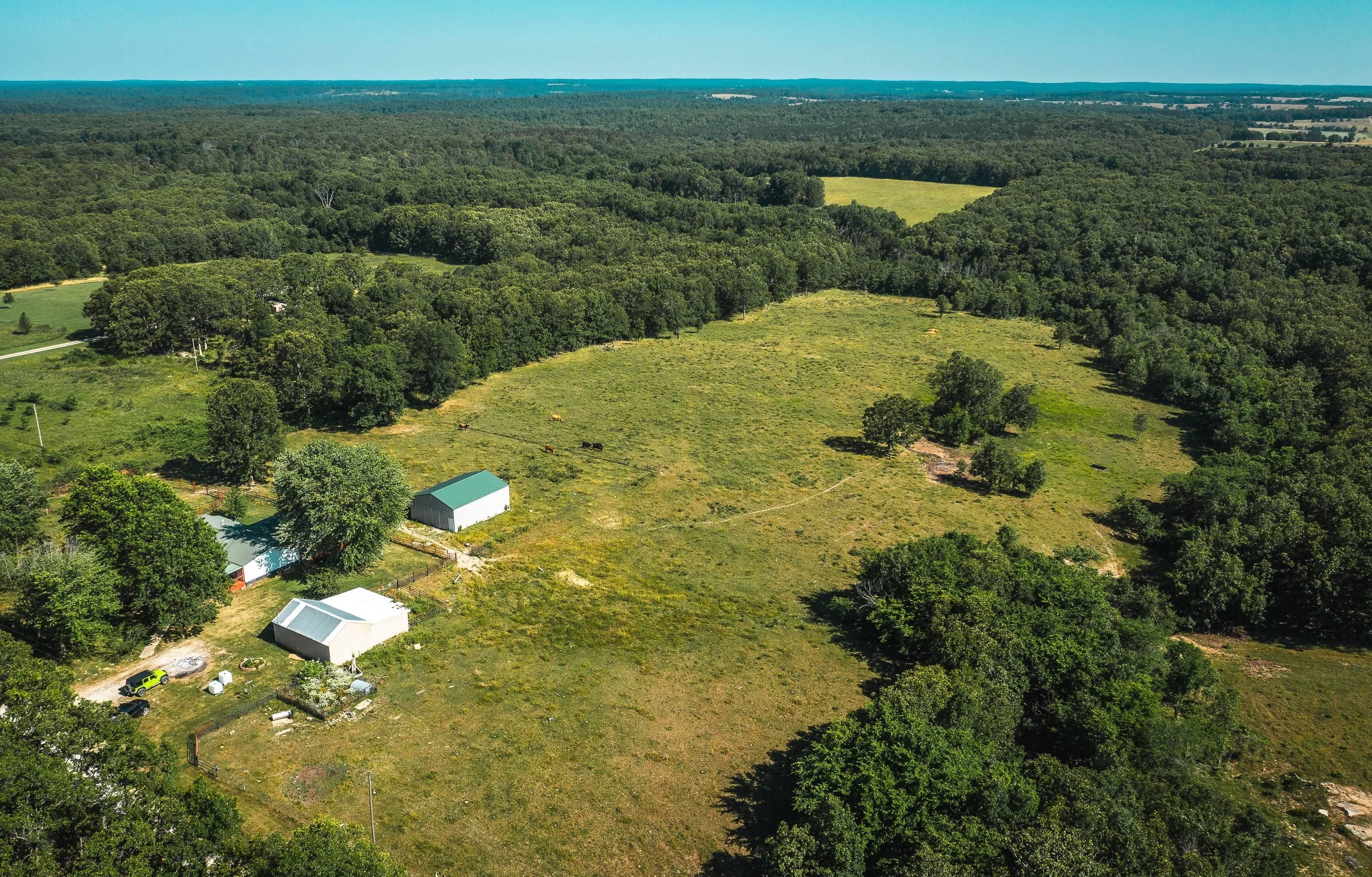 Houston, Texas County, MO Farms and Ranches, House for sale Property ID