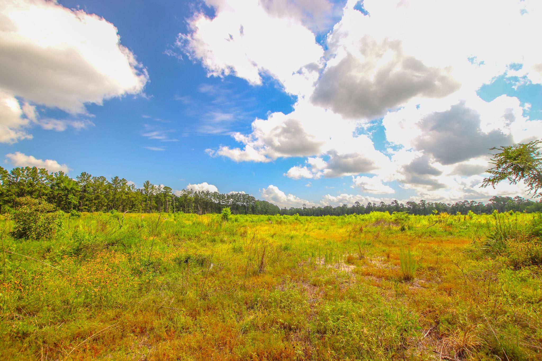 Oakhurst, San Jacinto County, TX Farms and Ranches, Recreational