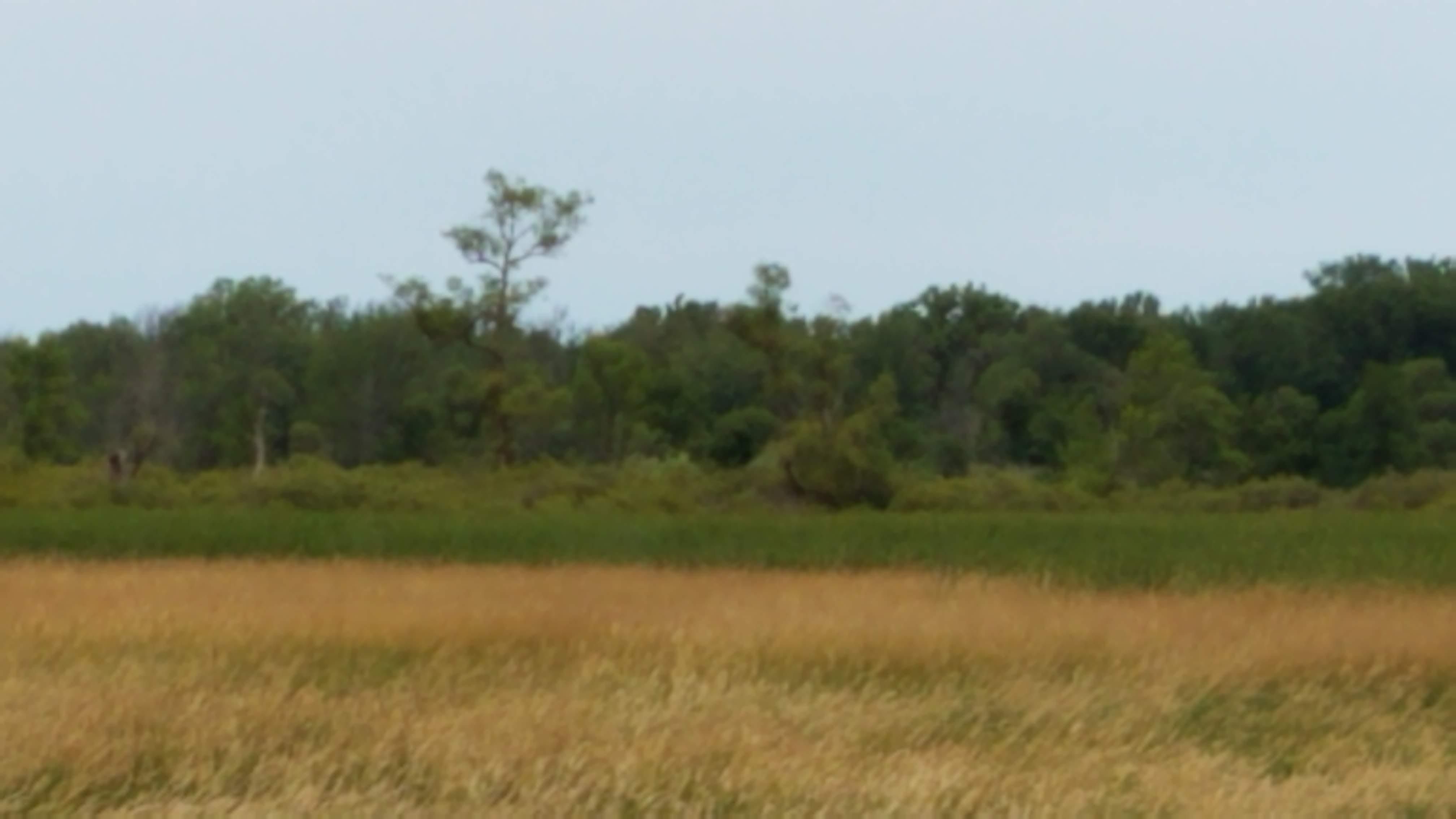 Black Creek, Outagamie County, WI Recreational Property, Hunting