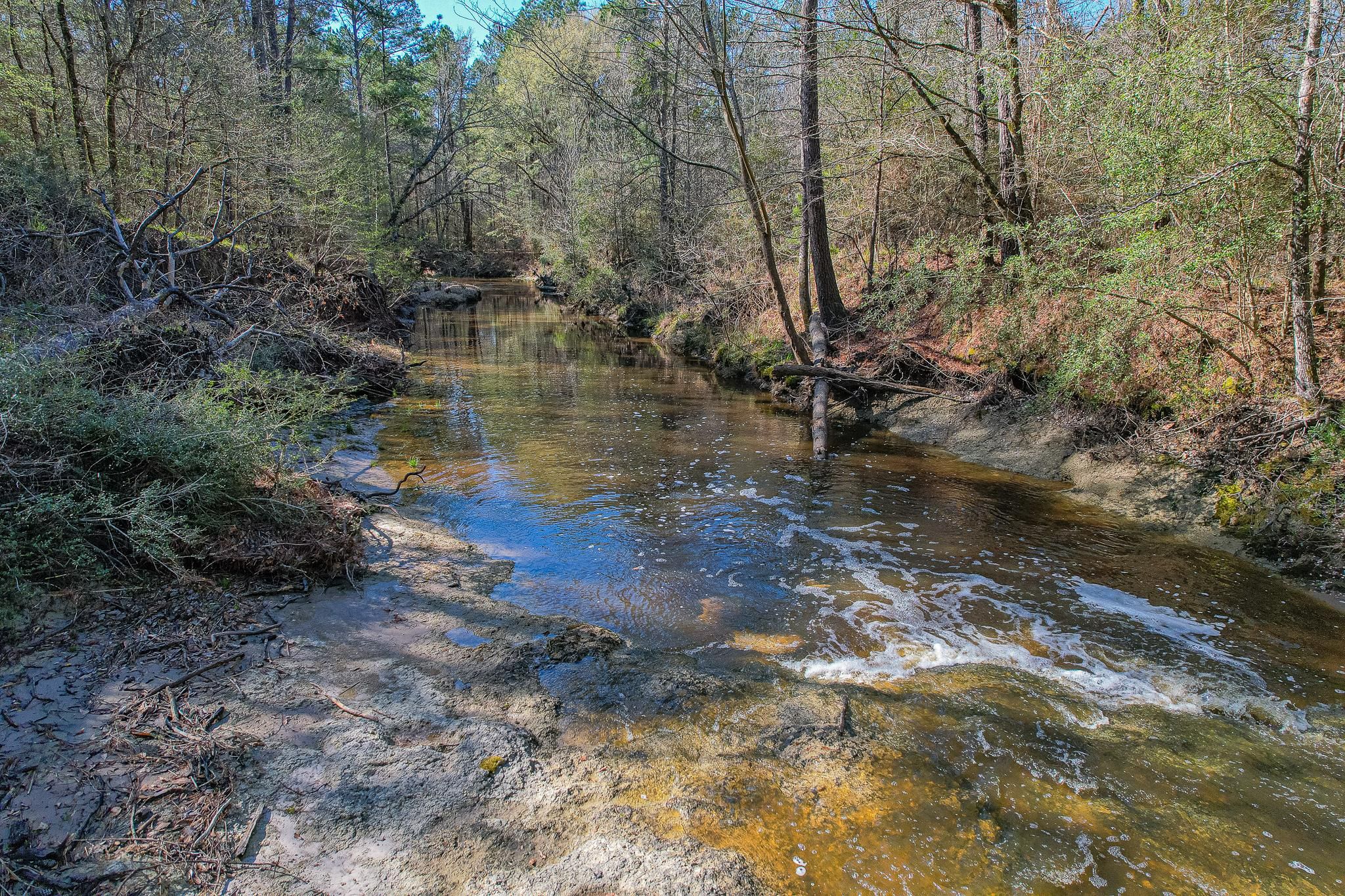 Josserand, Trinity County, TX Recreational Property, Timberland