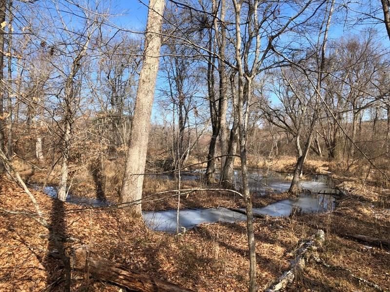 Nathalie, Halifax County, VA Farms and Ranches, Timberland Property