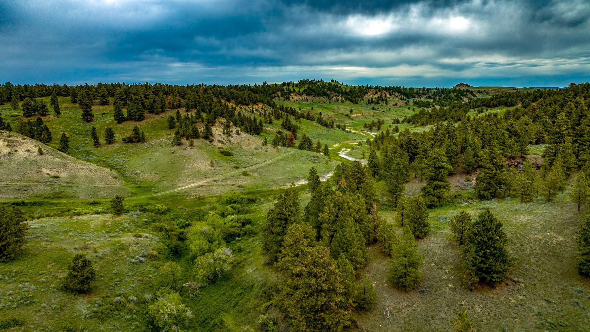 12,000 acres in Malta, MT, 59538 LandWatch