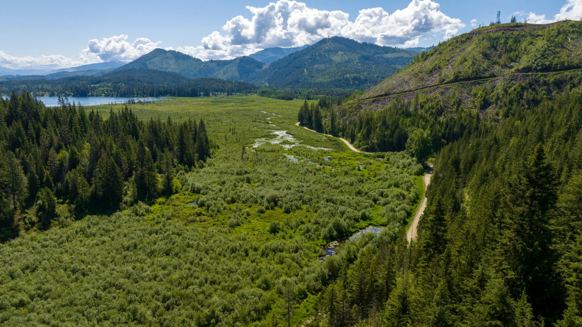 Rose Lake, Kootenai County, ID Recreational Property, Undeveloped Land