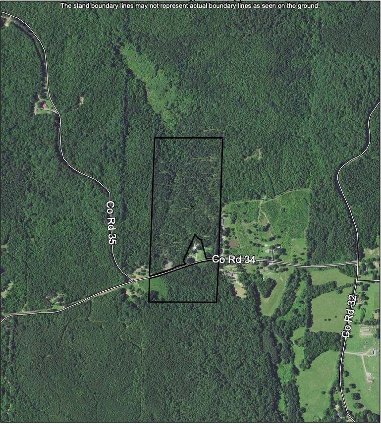 Thaxton, Union County, MS Recreational Property, Timberland Property