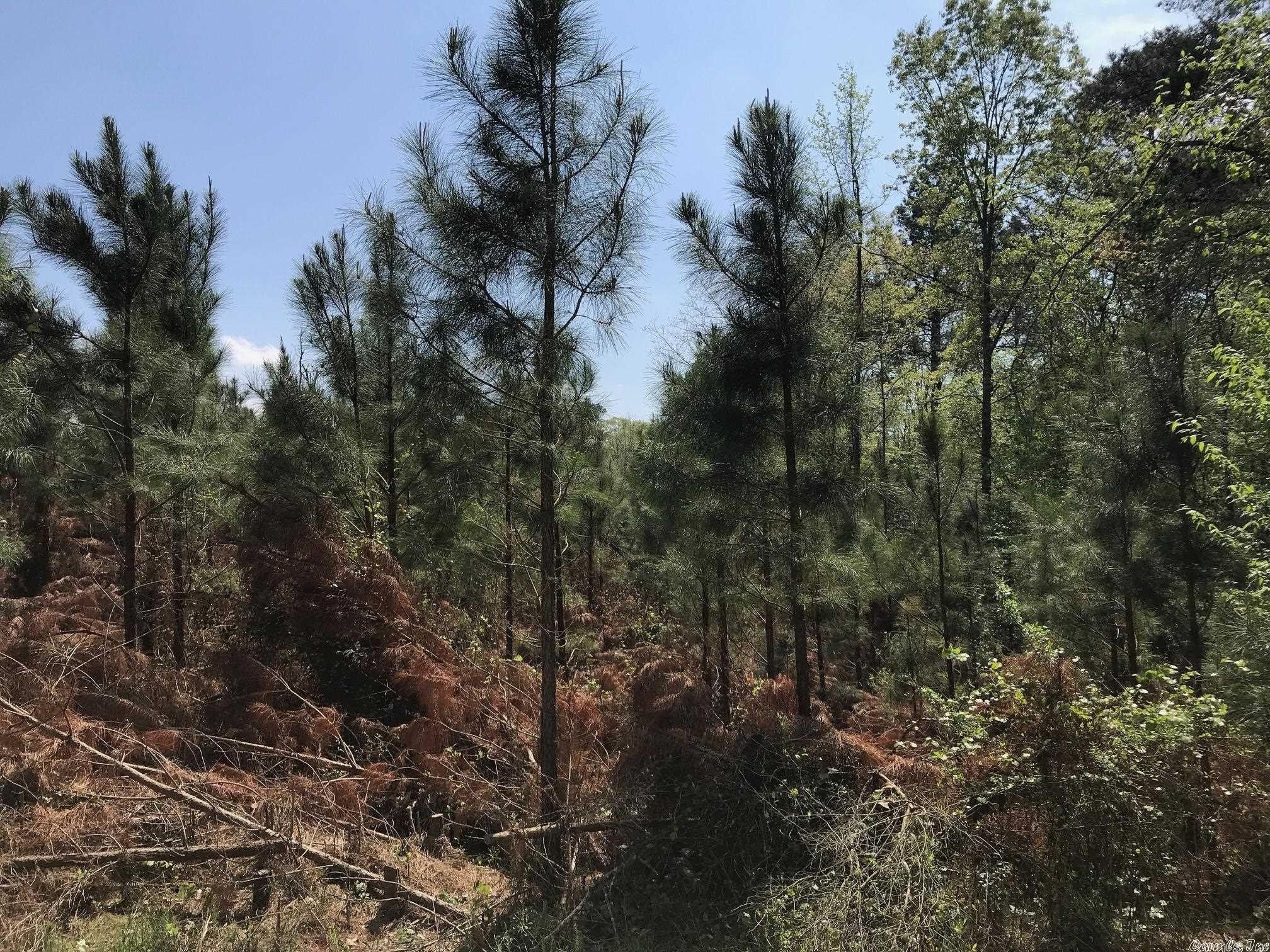 Smyrna South, Okolona, AR 71962 MLS 22021010 LandWatch