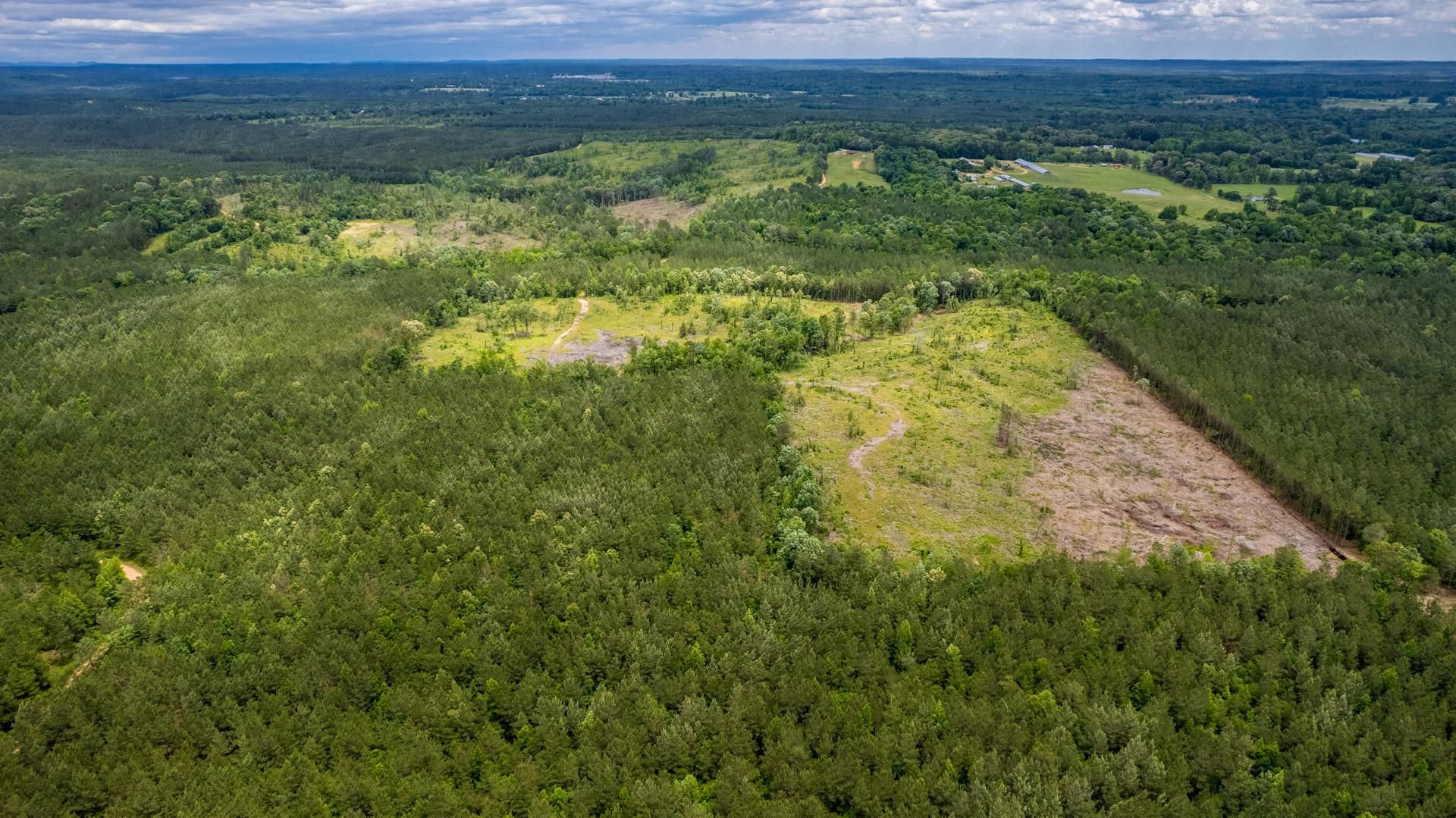 Dierks, Howard County, AR Recreational Property, Timberland Property