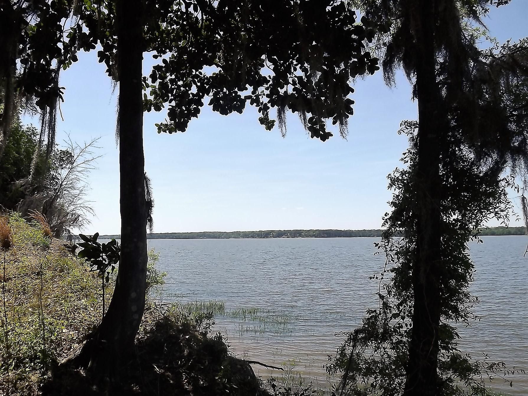 Quitman County, GA Undeveloped Land, Lakefront Property