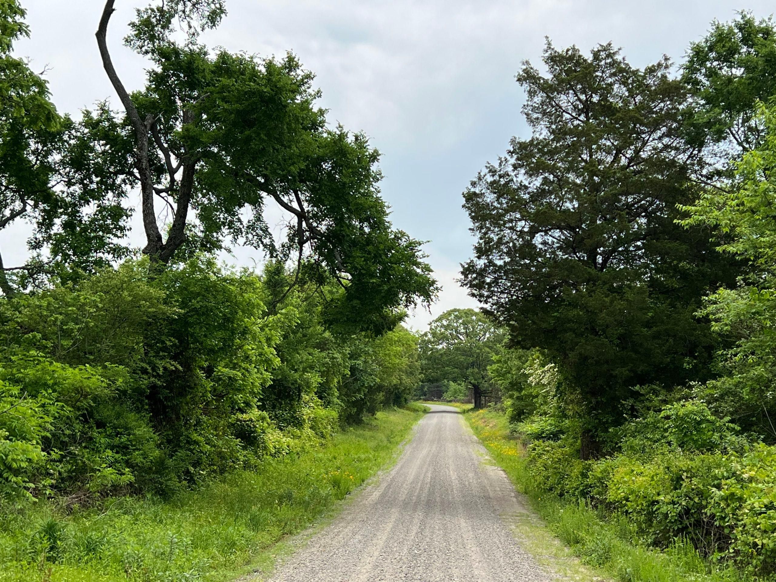 Center Ridge, Conway County, AR Recreational Property, Timberland