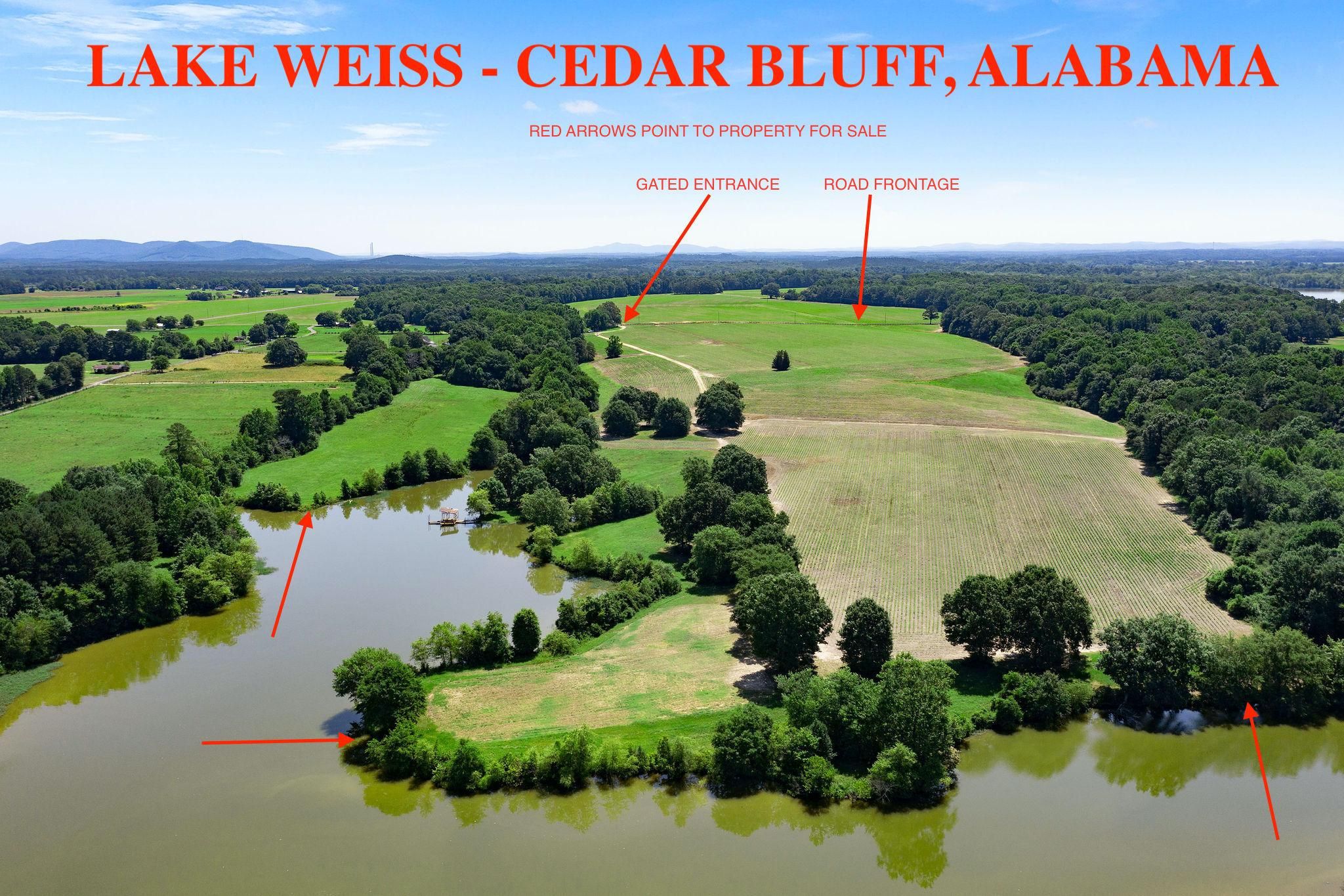 Cedar Bluff, Cherokee County, AL Recreational Property, Undeveloped