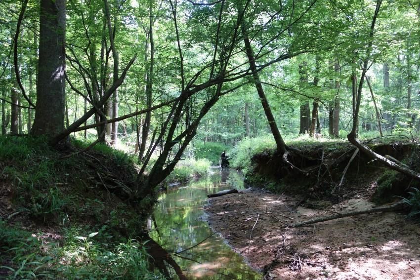 Winnsboro, Fairfield County, SC Recreational Property, Undeveloped Land, Hunting Property for