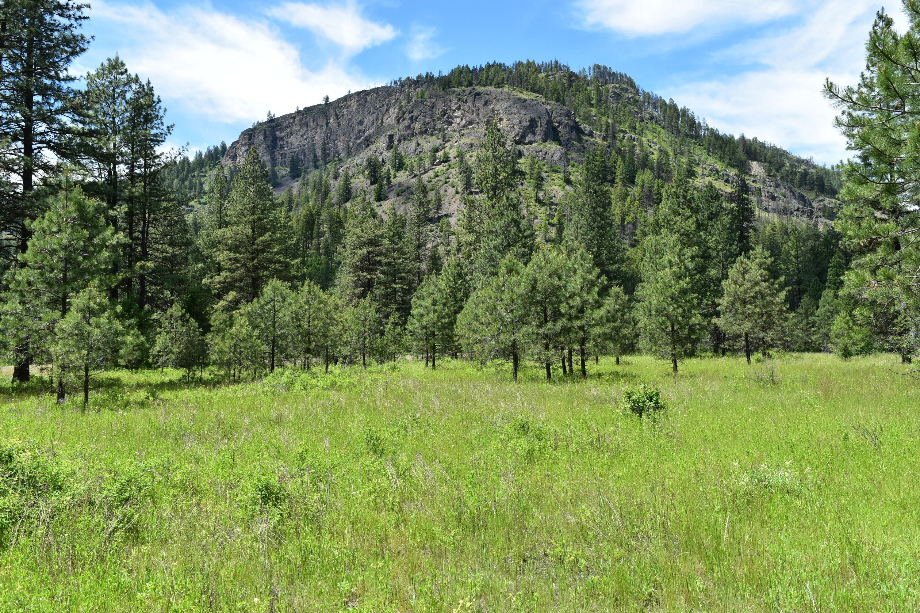 Republic, Ferry County, WA Undeveloped Land for sale Property ID