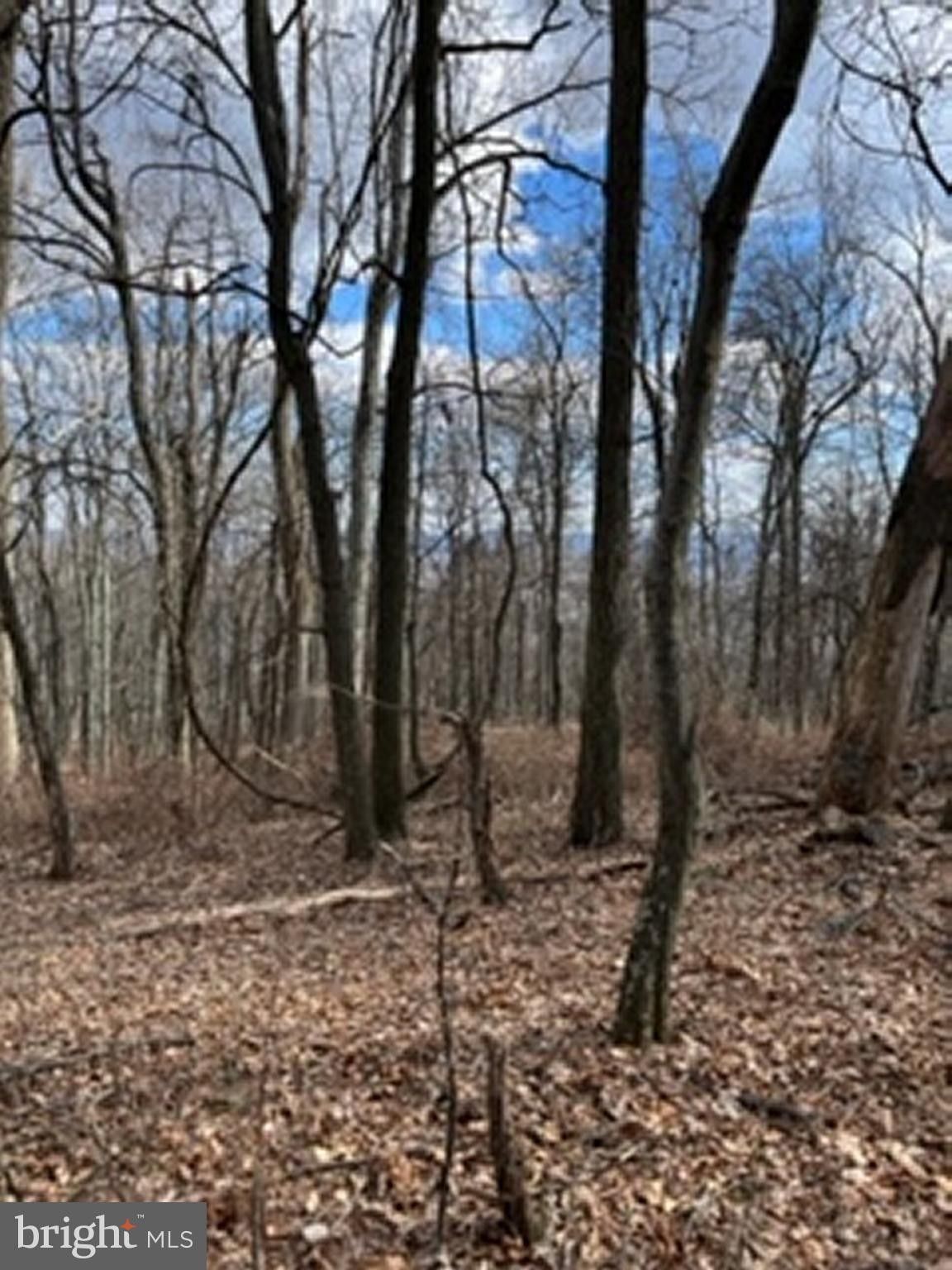 Capon Bridge, Hampshire County, WV Undeveloped Land for sale Property