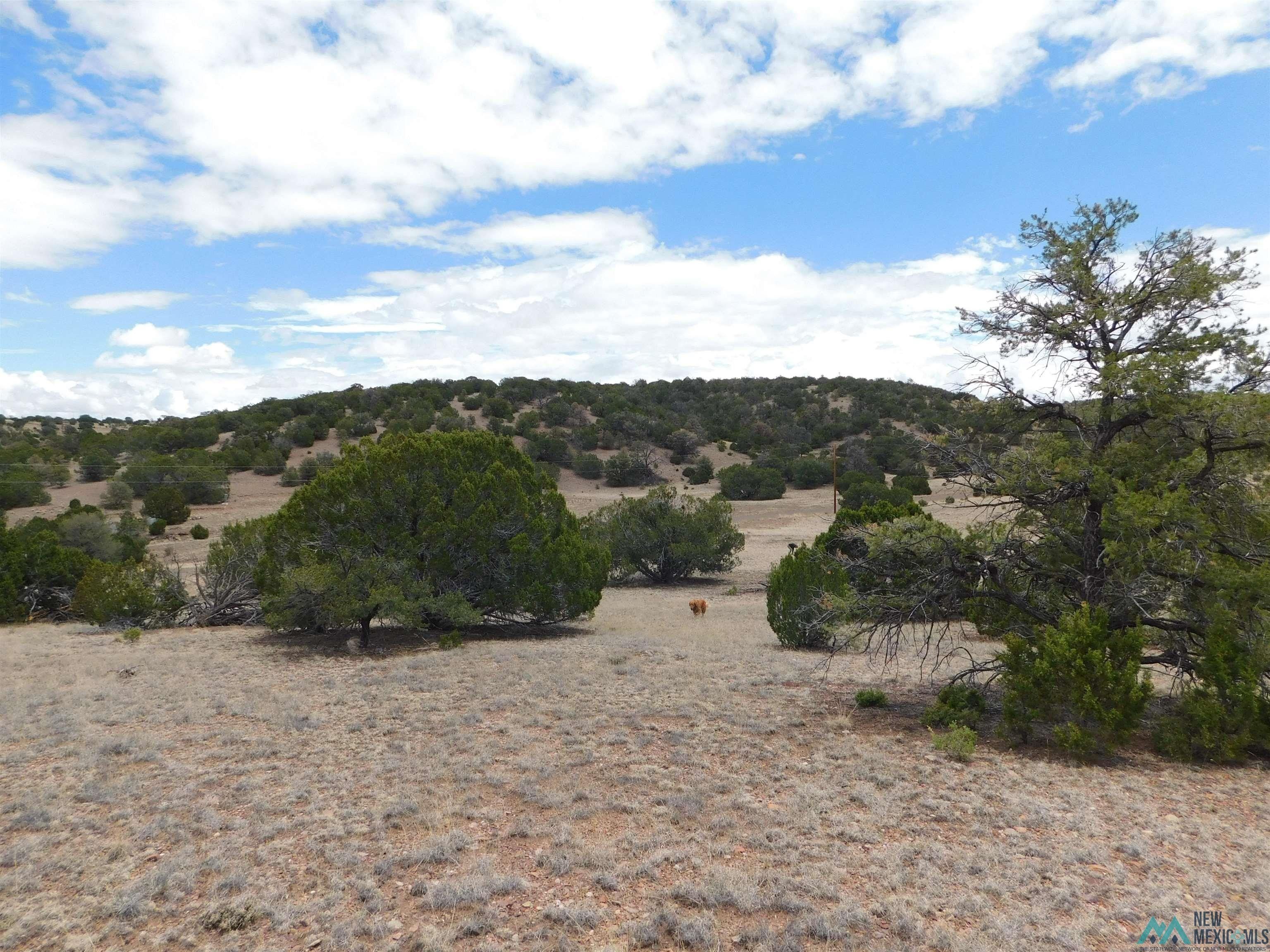 Quemado, Catron County, NM for sale Property ID 414016453 LandWatch