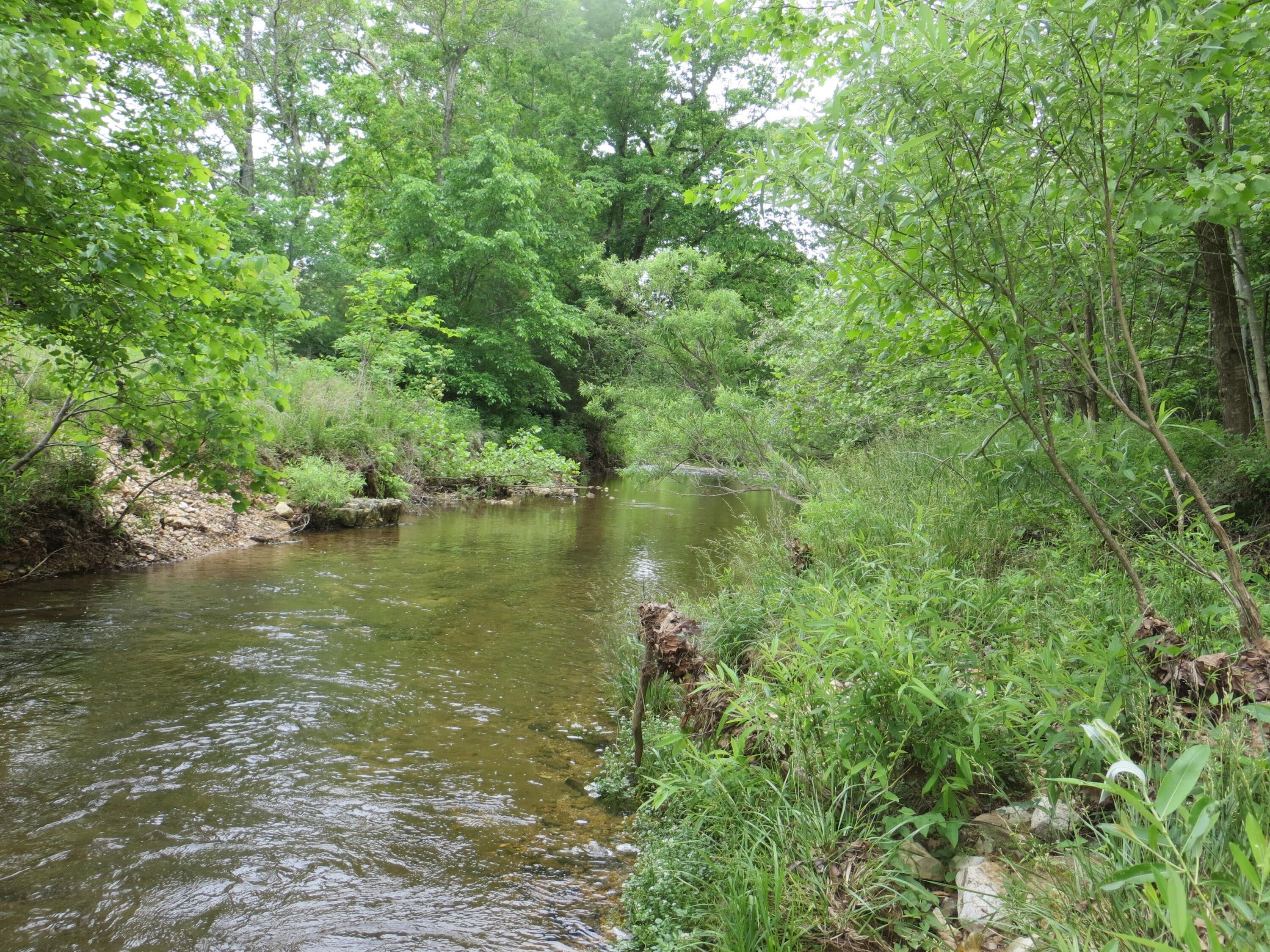 Mammoth Spring, Fulton County, AR Undeveloped Land for sale Property ID 414016988 LandWatch