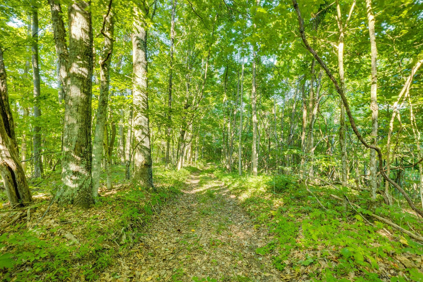 Duffield, Scott County, VA Undeveloped Land for sale Property ID