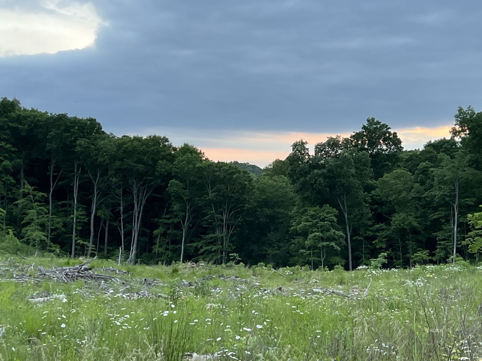 Vinton, Vinton County, OH House for sale Property ID 414018556 LandWatch