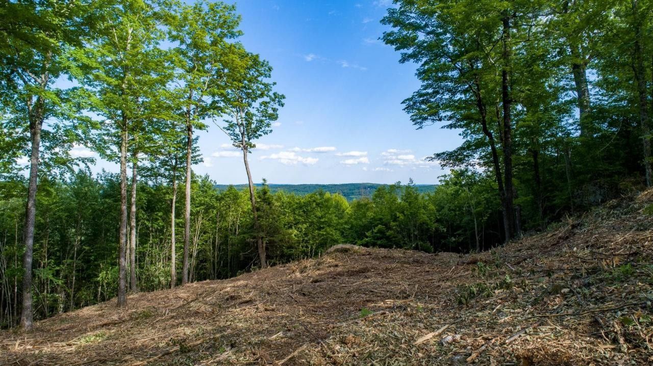 Andover, Merrimack County, NH Undeveloped Land for sale Property ID