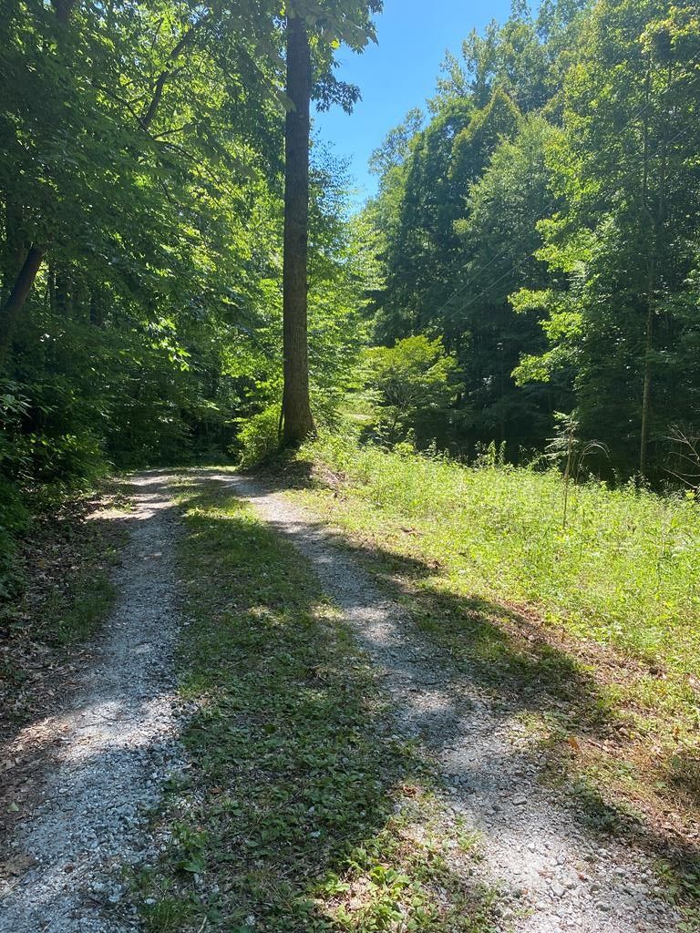 Franklin, Macon County, NC Undeveloped Land for sale Property ID