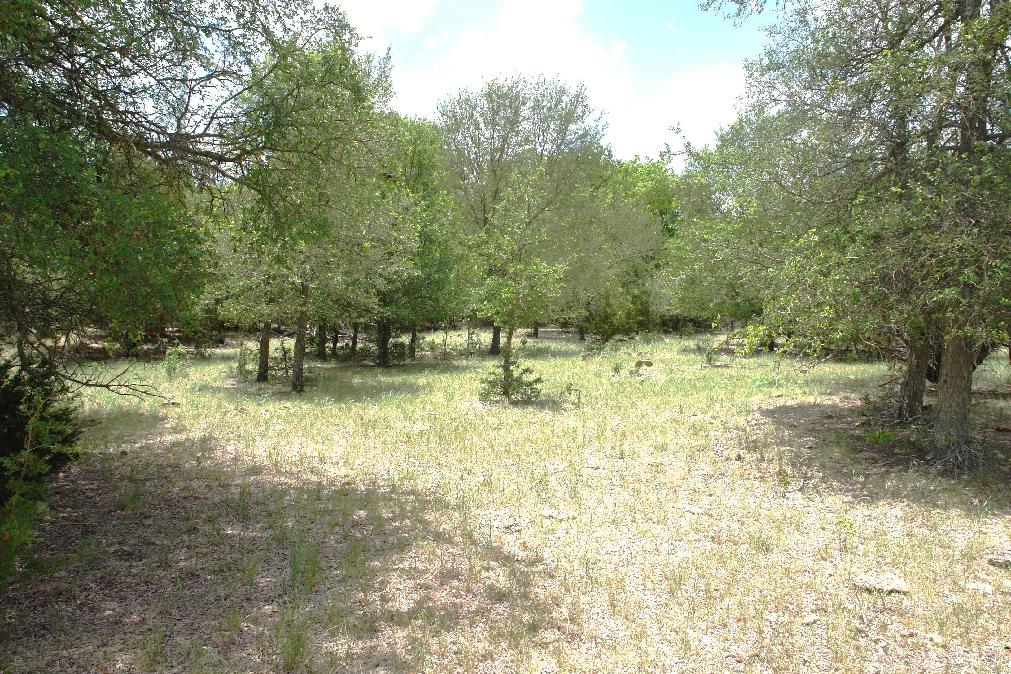 Goldthwaite, Mills County, TX Farms and Ranches, Recreational Property