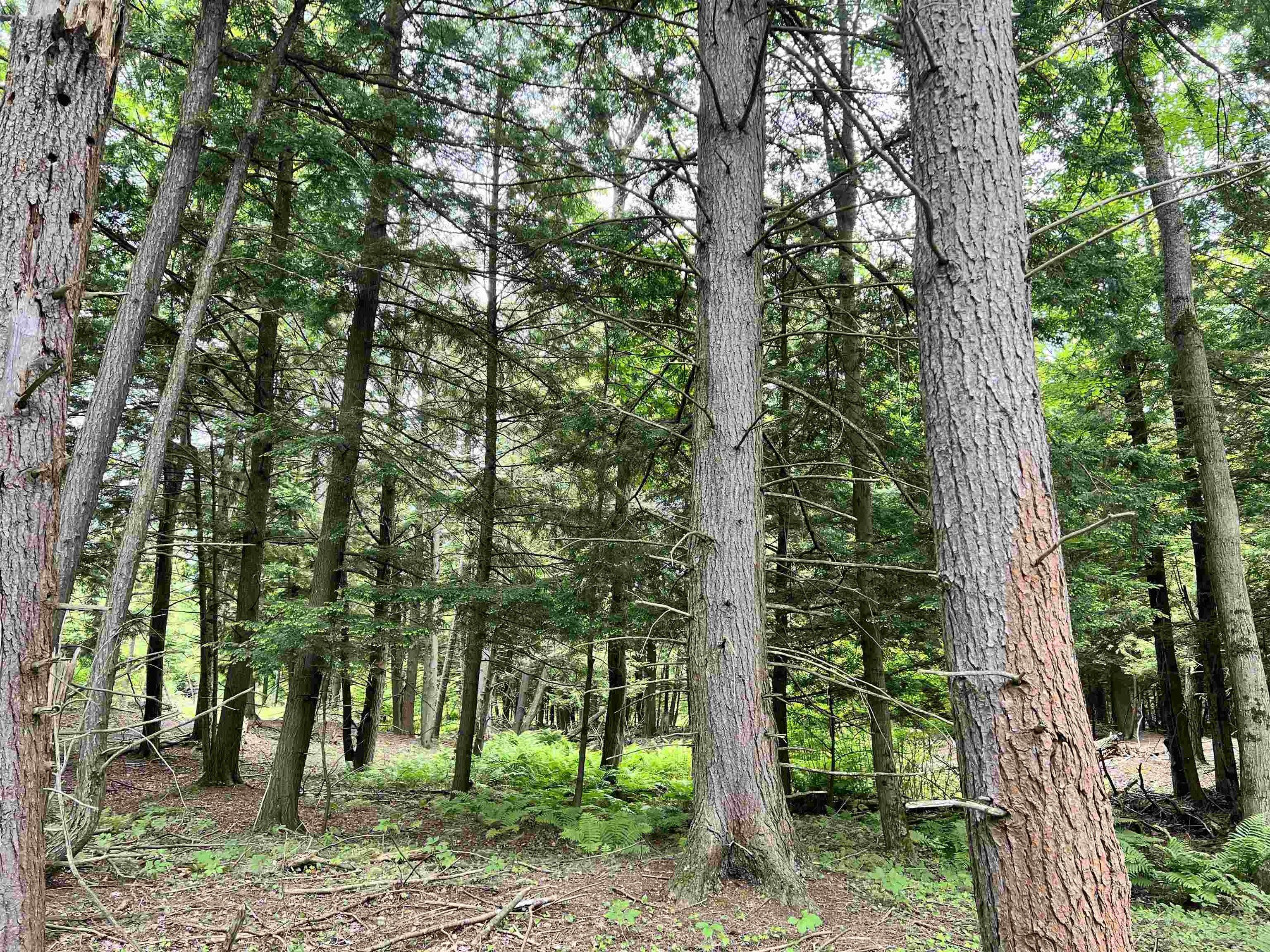 Norfolk, Saint Lawrence County, NY Undeveloped Land for sale Property