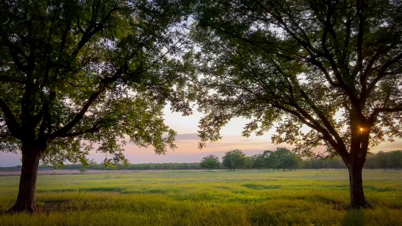 Crystal City, Zavala County, TX Farms and Ranches, Hunting Property