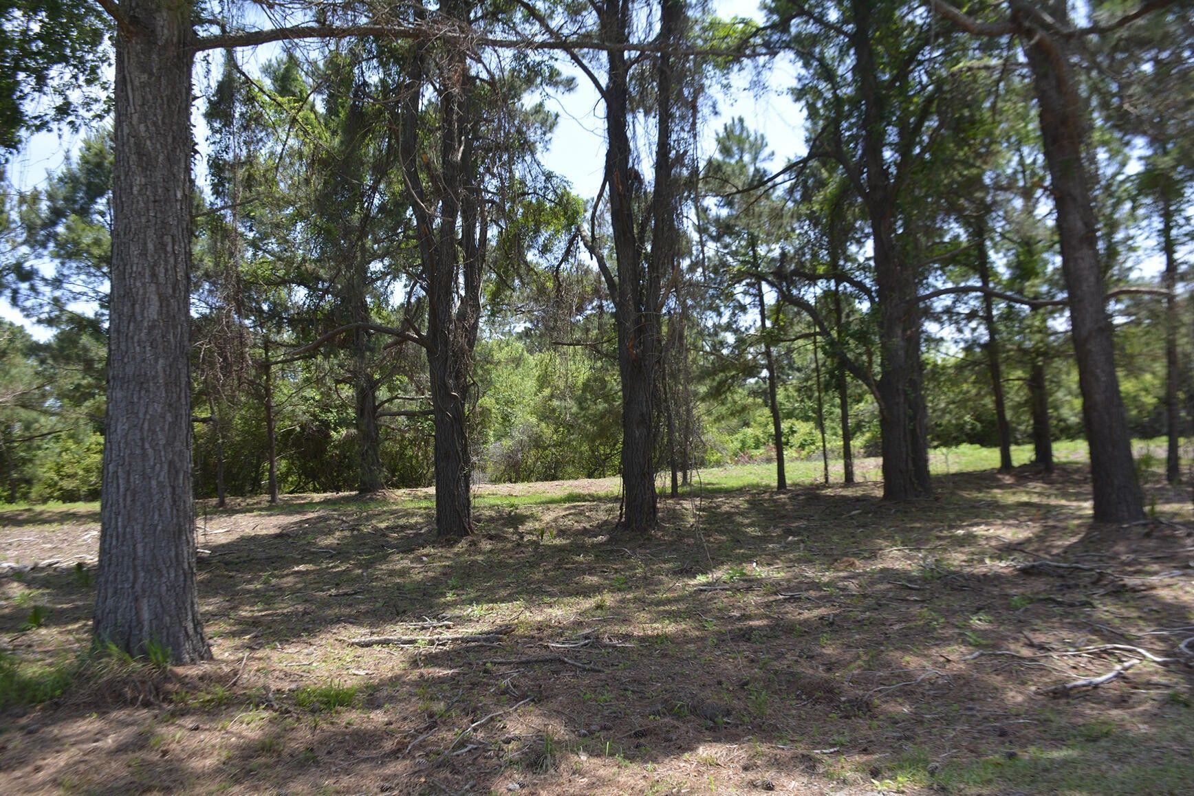 Edisto Island, Colleton County, SC Homesites for sale Property ID