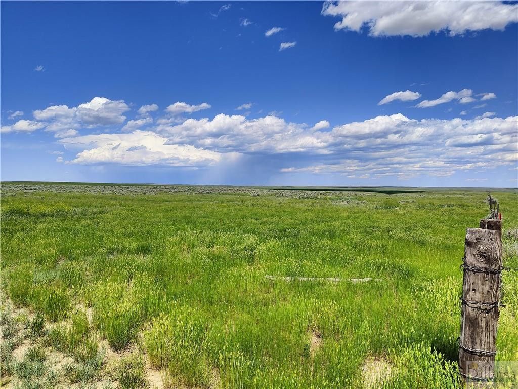 Petroleum County, MT Undeveloped Land for sale Property ID