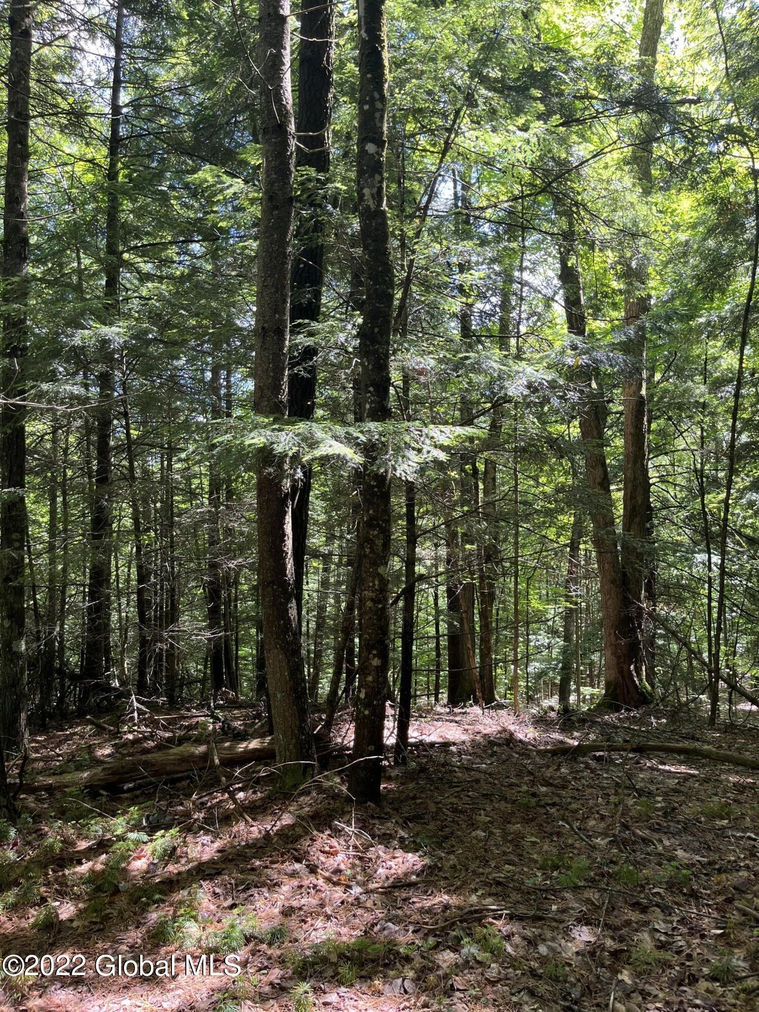 Warrensburg, Warren County, NY Undeveloped Land, Homesites for sale