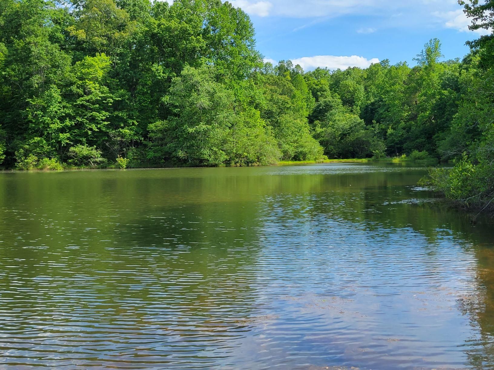 Wadley, Tallapoosa County, AL Recreational Property, Timberland