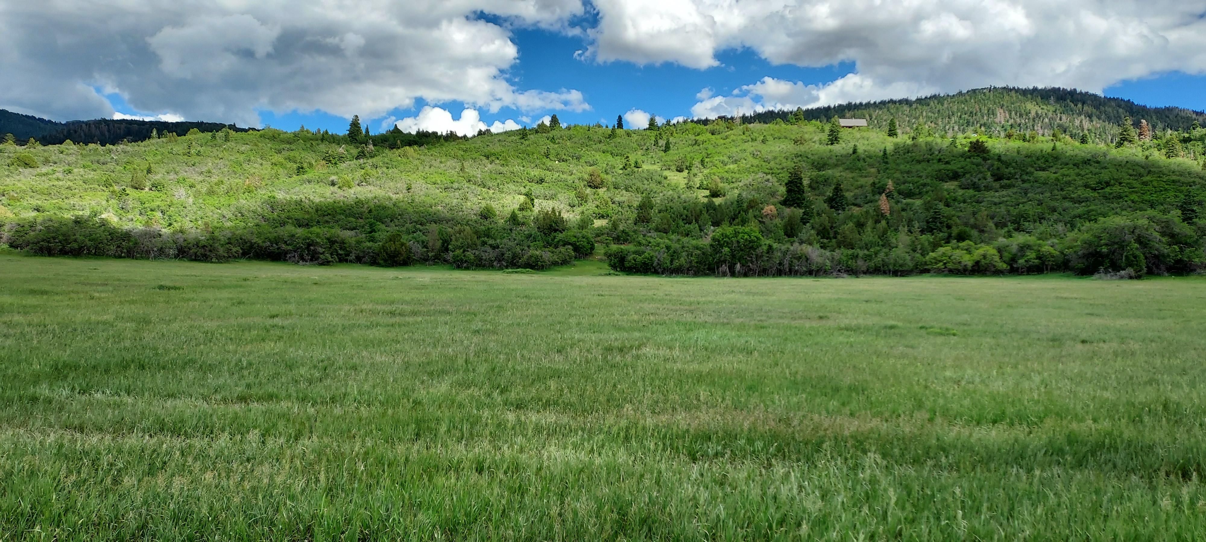 Mount Pleasant, Sanpete County, UT Recreational Property, Horse