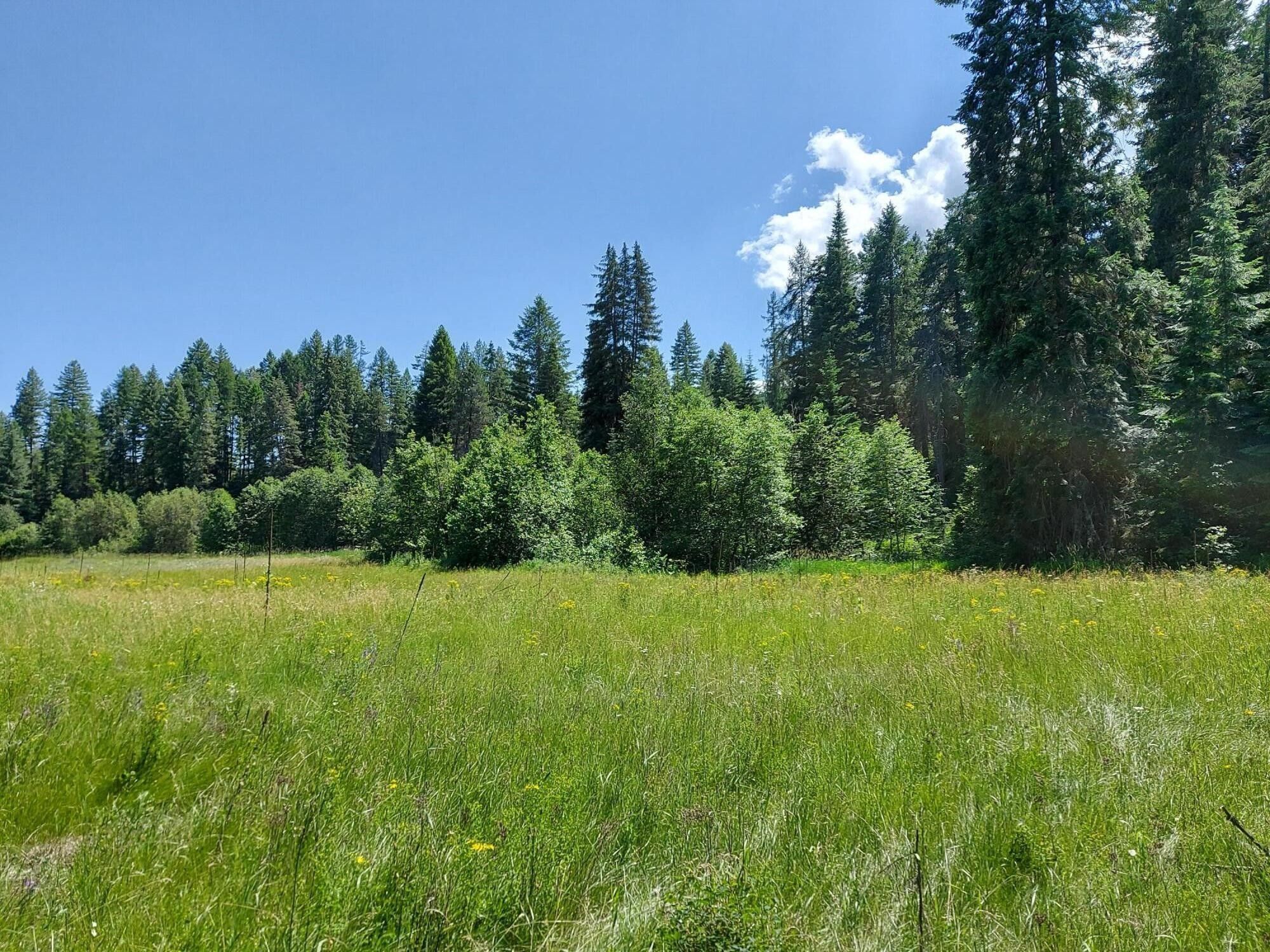 Colville, Stevens County, WA Undeveloped Land, Lakefront Property