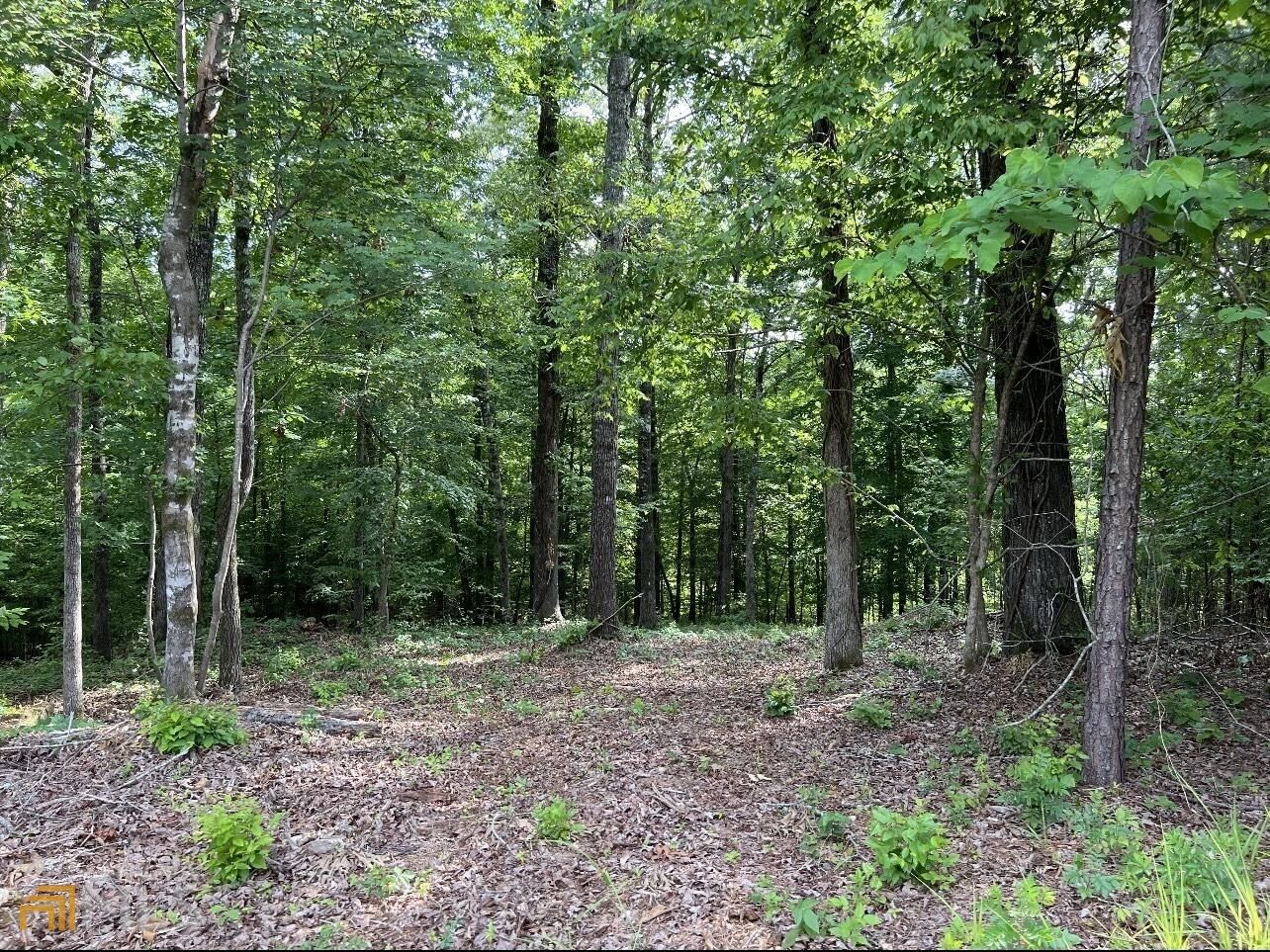 Macon, Monroe County, GA Undeveloped Land for sale Property ID