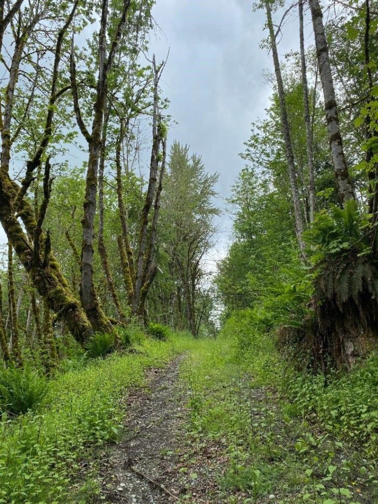 Graham, Pierce County, WA Undeveloped Land for sale Property ID