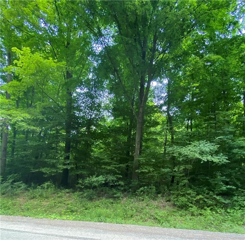 Rushville, Yates County, NY Undeveloped Land, Homesites for sale