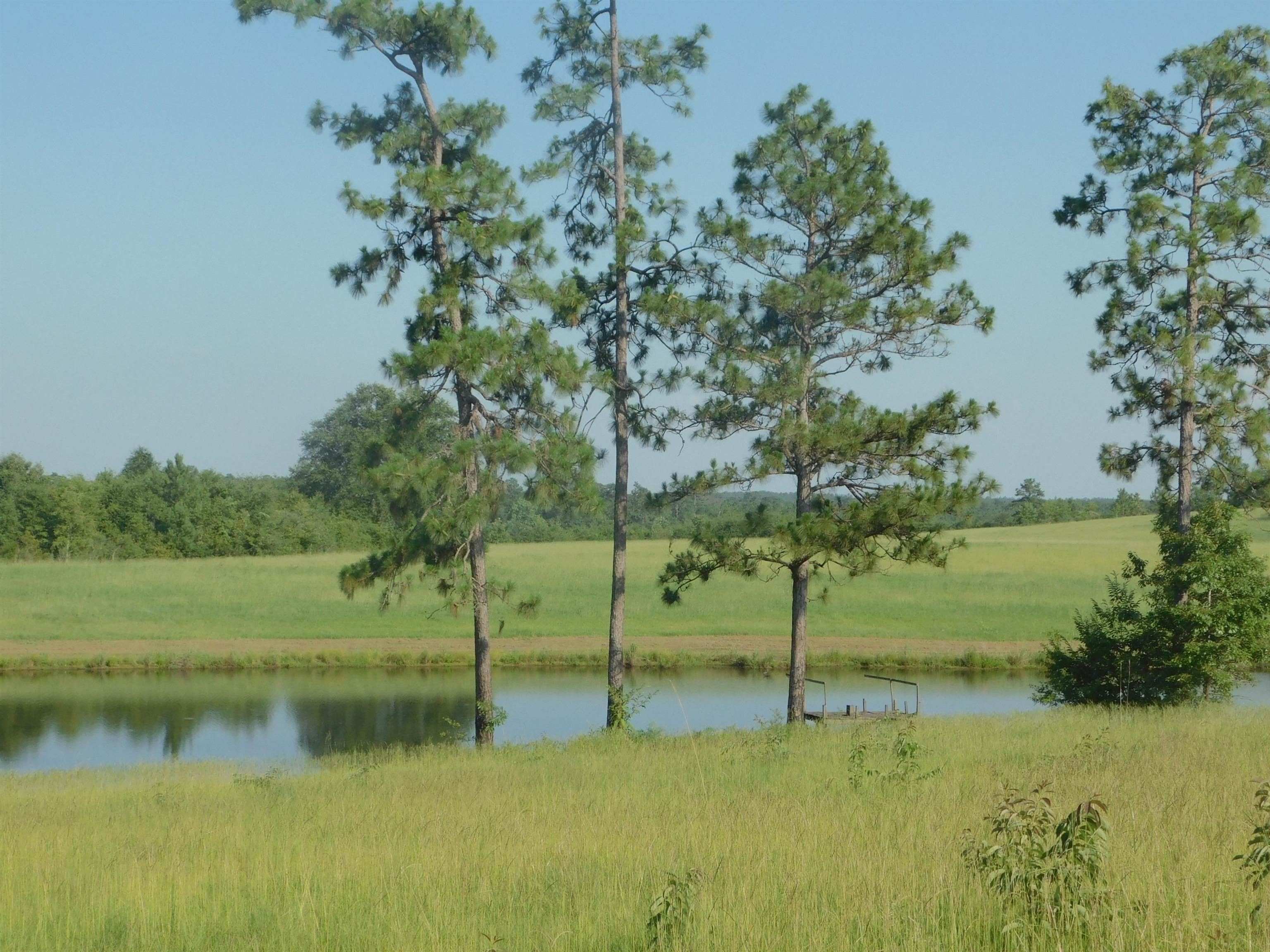Andalusia, Covington County, AL Lakefront Property, Waterfront Property