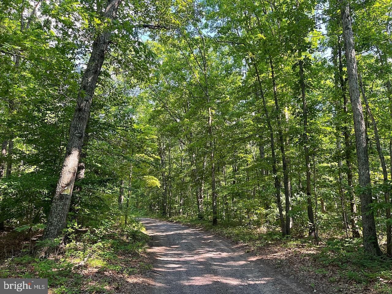 Lignum, Culpeper County, VA Undeveloped Land for sale Property ID 414049761 LandWatch