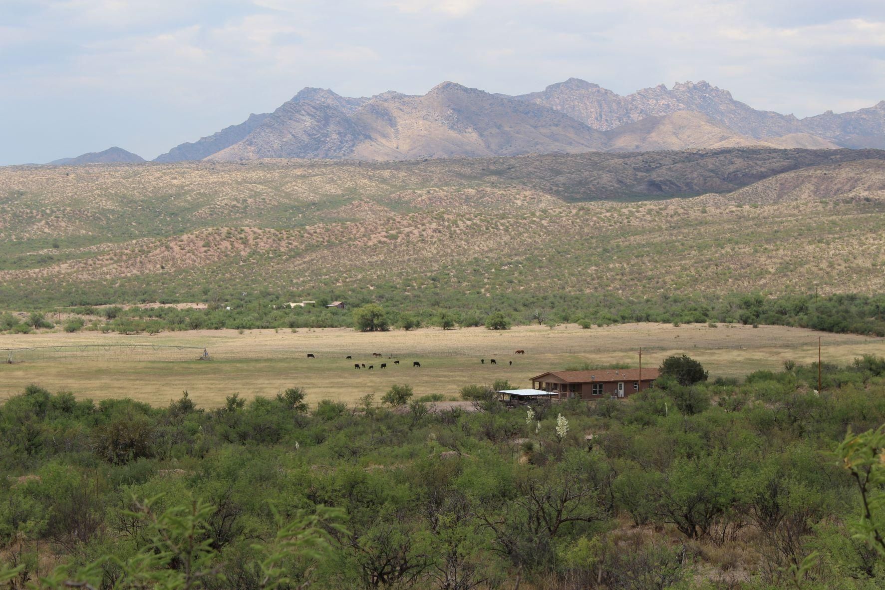 Willcox, Graham County, AZ Farms and Ranches, Horse Property, House for