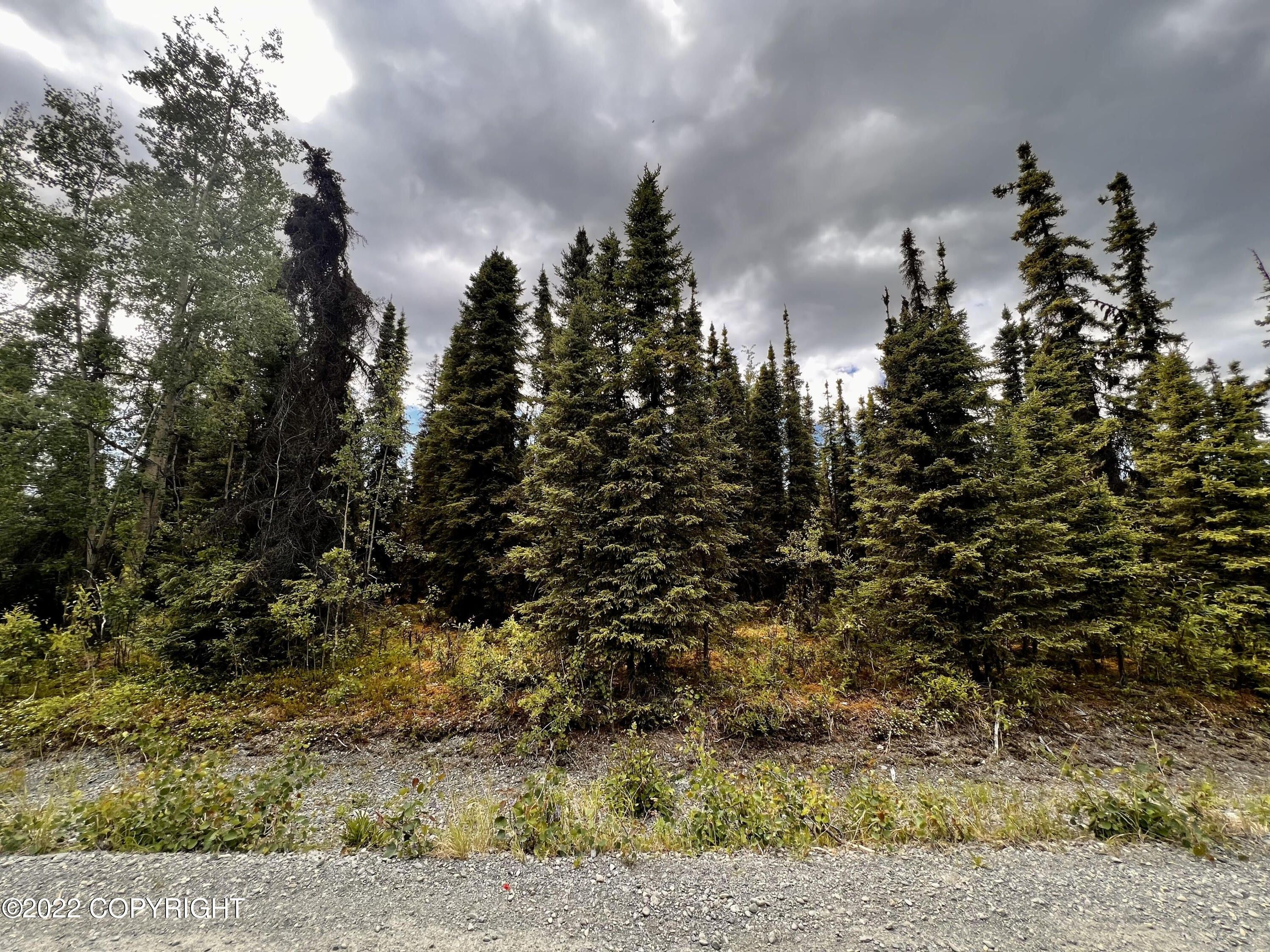 Soldotna, Kenai Peninsula Borough, AK Undeveloped Land, Homesites for