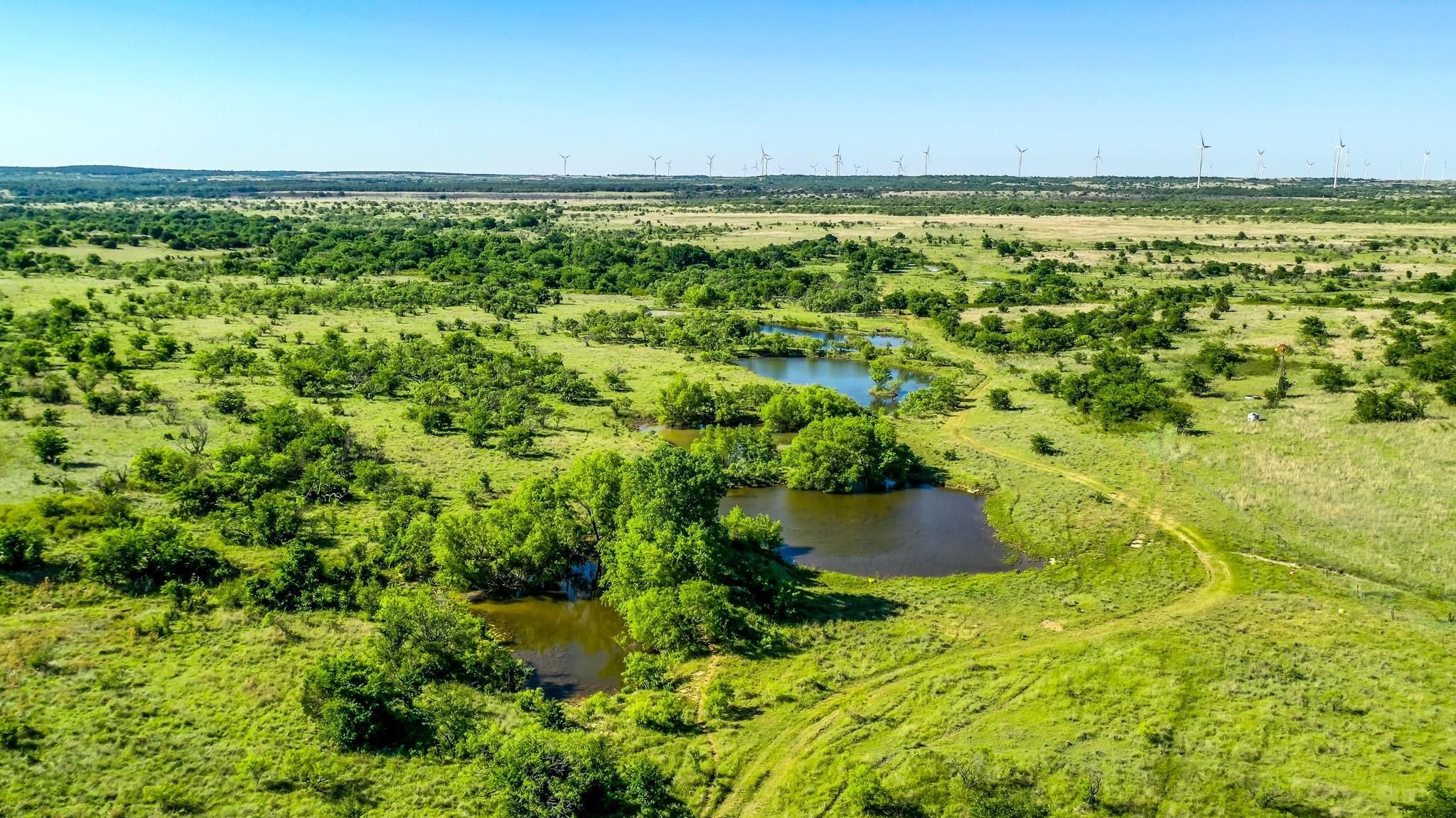 Jacksboro, Jack County, TX Farms and Ranches, Undeveloped Land, Hunting