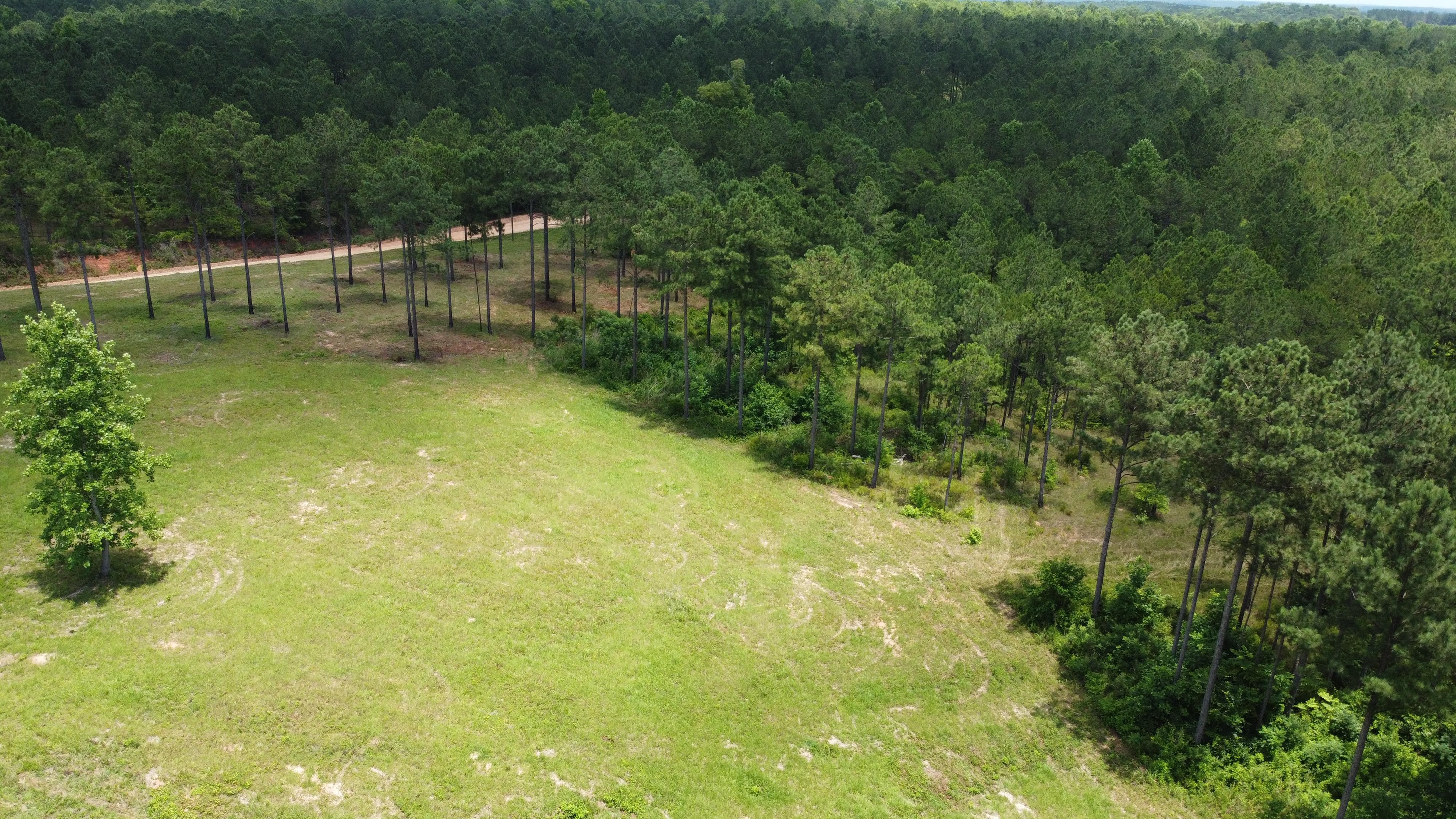 Auburn, Lee County, AL Undeveloped Land for sale Property ID 413960649 LandWatch