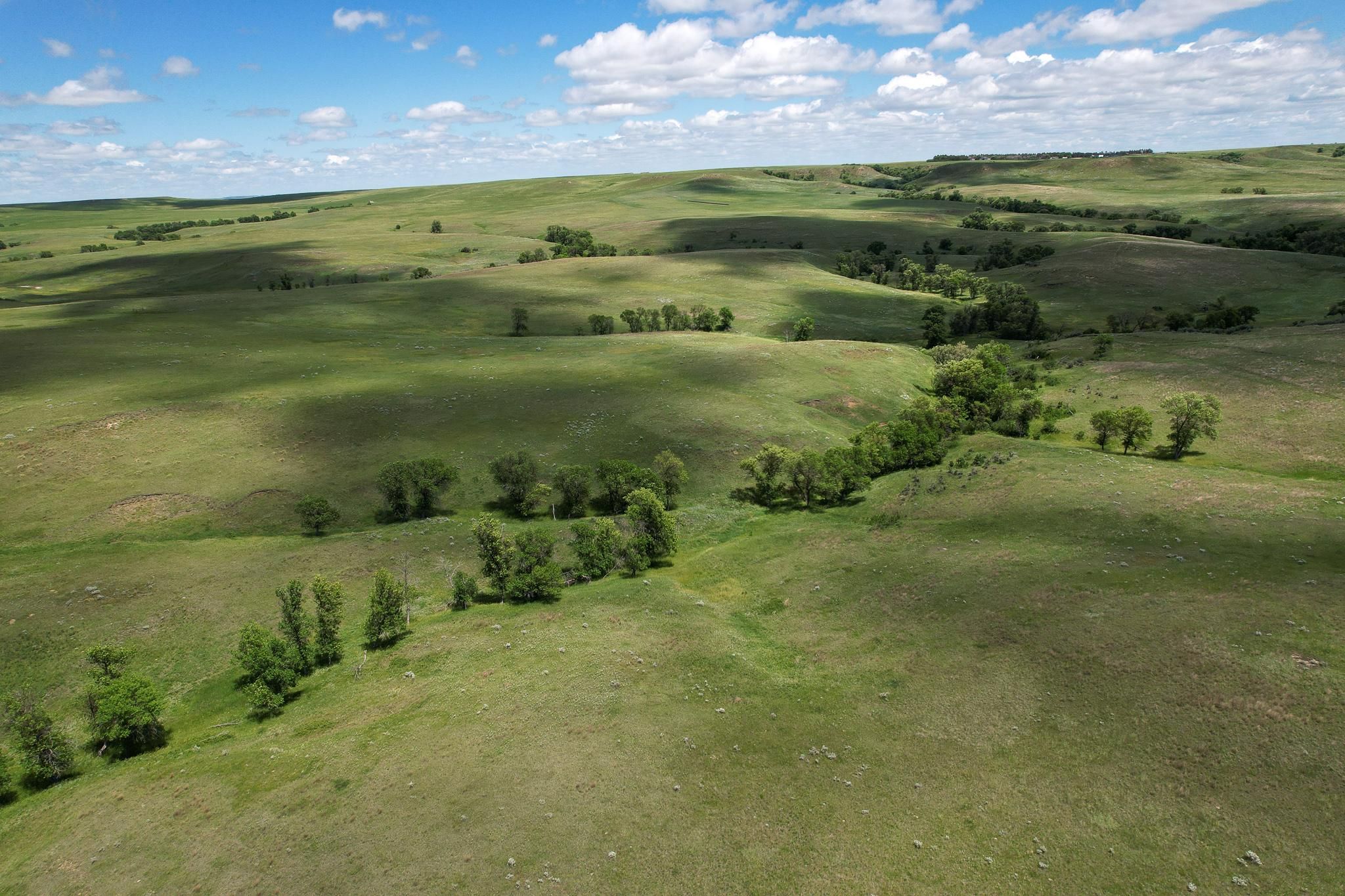 160 acres in Meadow, SD, 57644 LandWatch