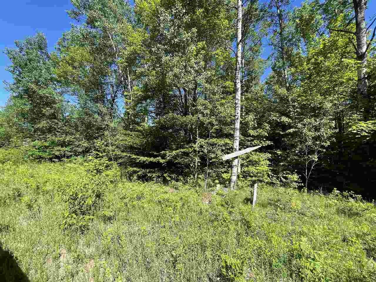 Mancelona, Antrim County, MI Undeveloped Land, Lakefront Property