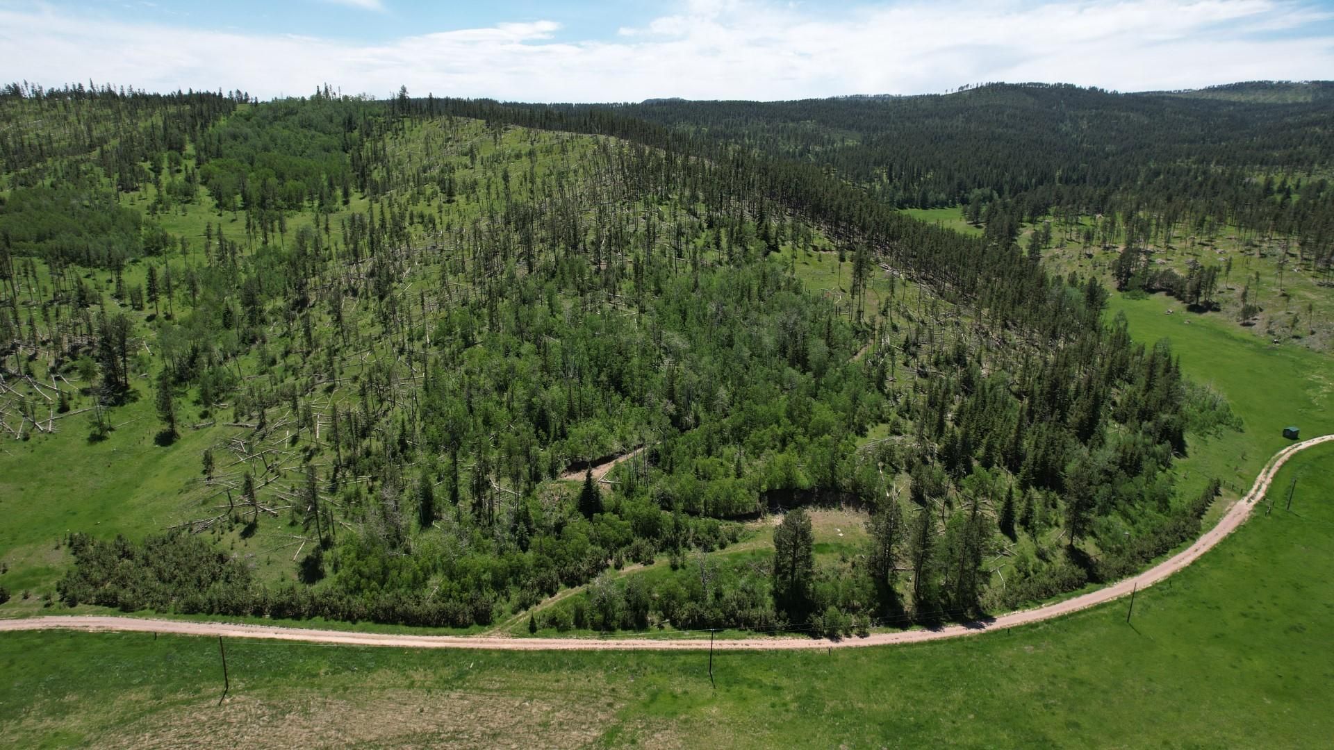 11775 Bear Mountain Drive, Custer, SD 57730 MLS 79067 LandWatch