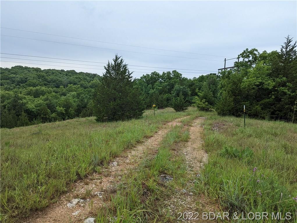 County, MO Undeveloped Land for sale Property ID