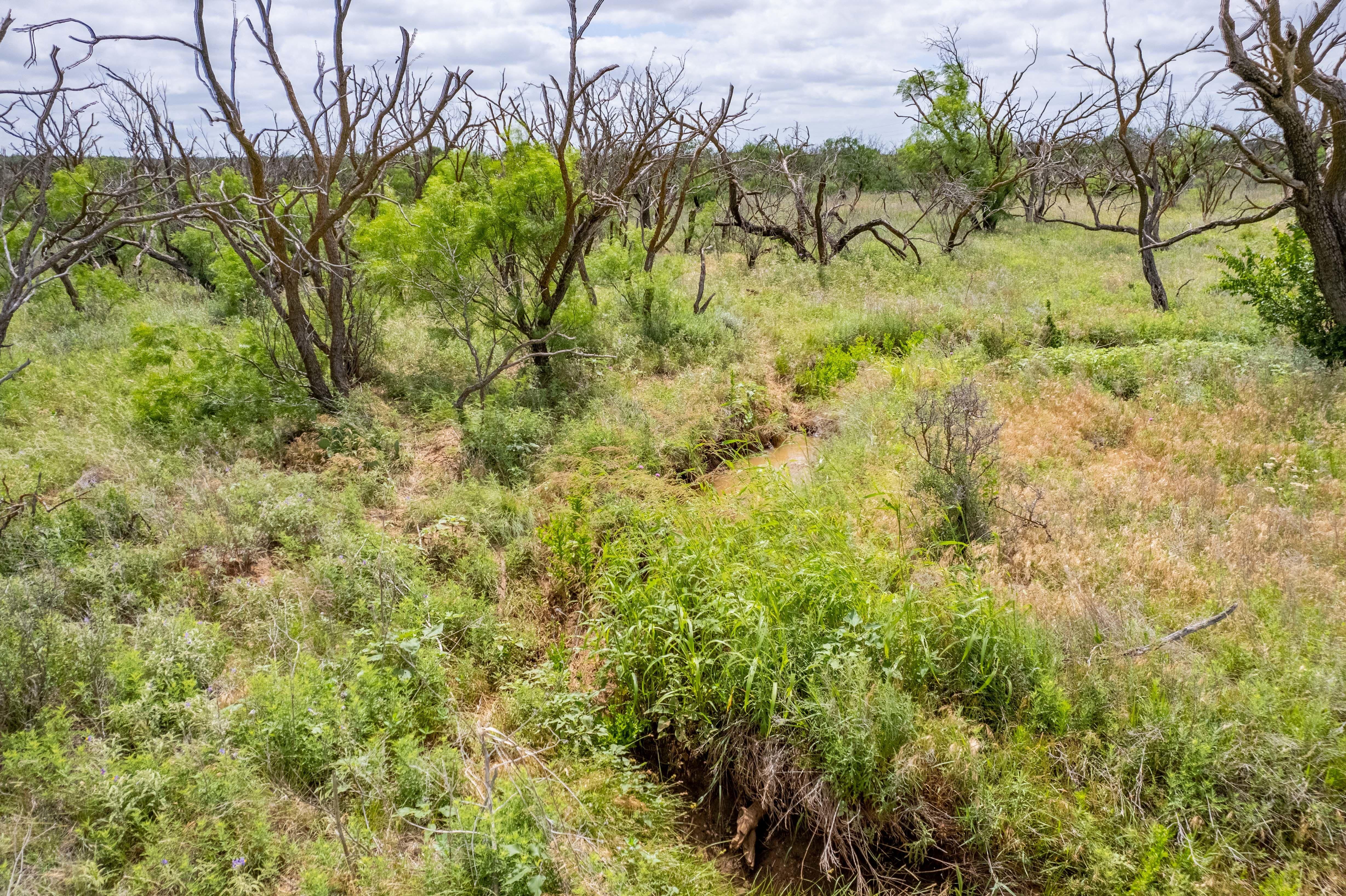 40 acres in Olney, TX, 76374 | LandWatch