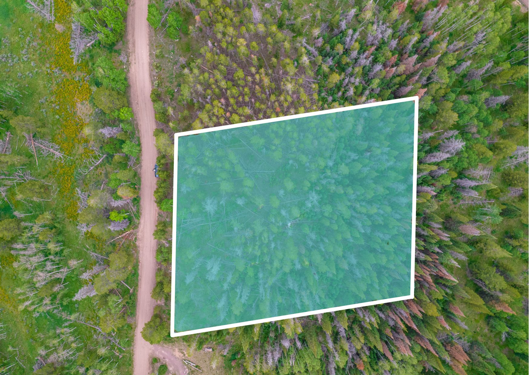 Oak Creek, Routt County, CO Recreational Property, Undeveloped Land