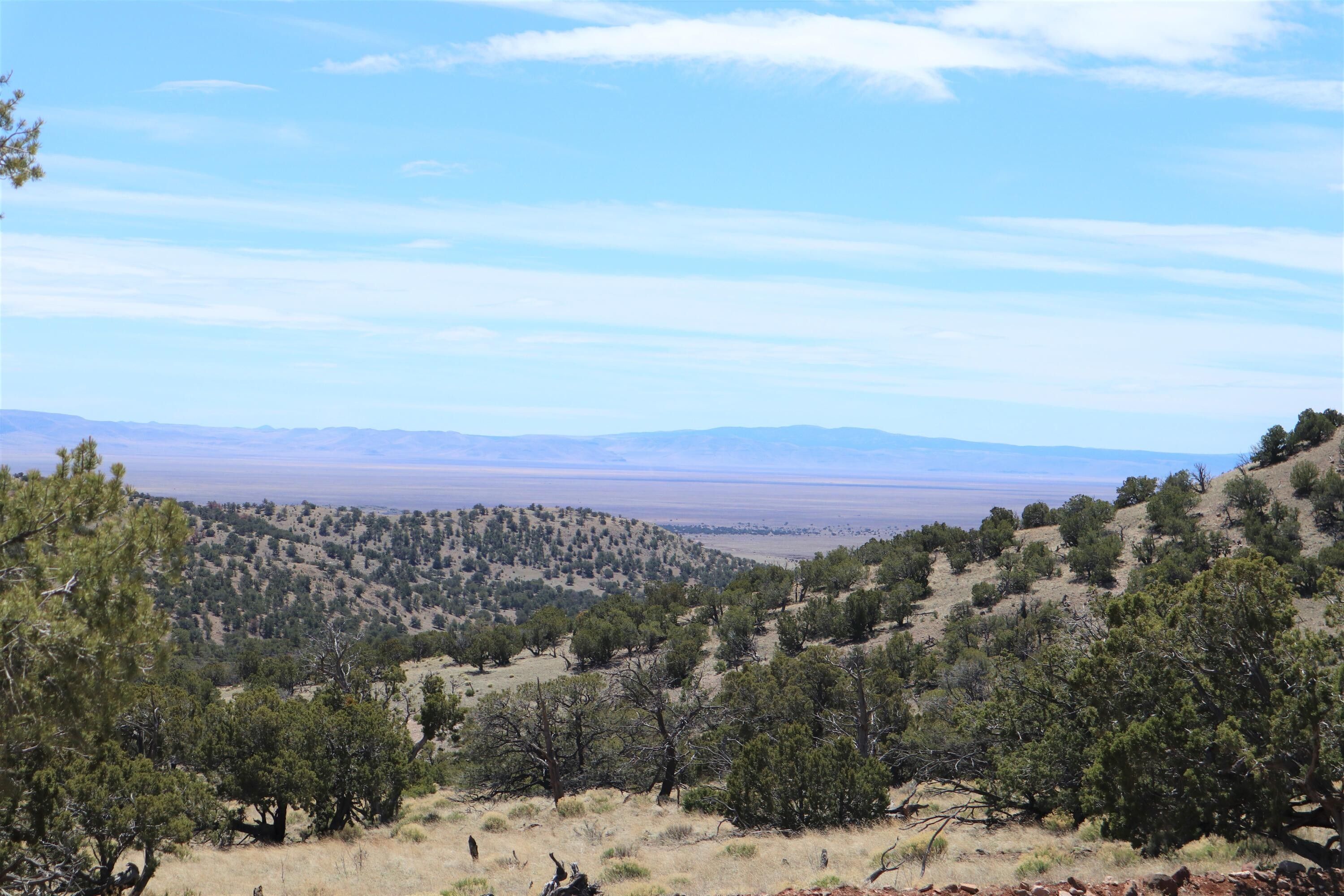 Datil, Catron County, NM Undeveloped Land for sale Property ID