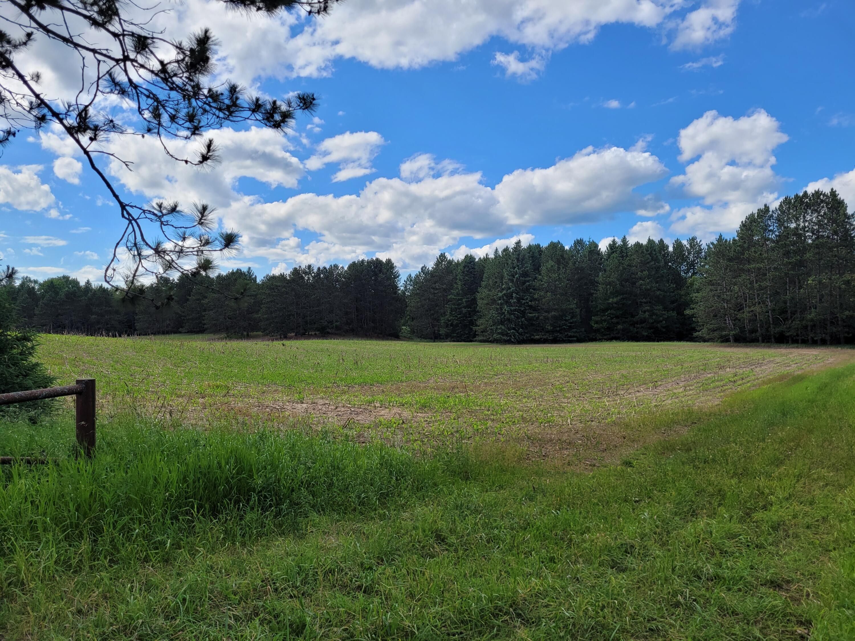 Millersburg, Presque Isle County, MI Undeveloped Land for sale Property
