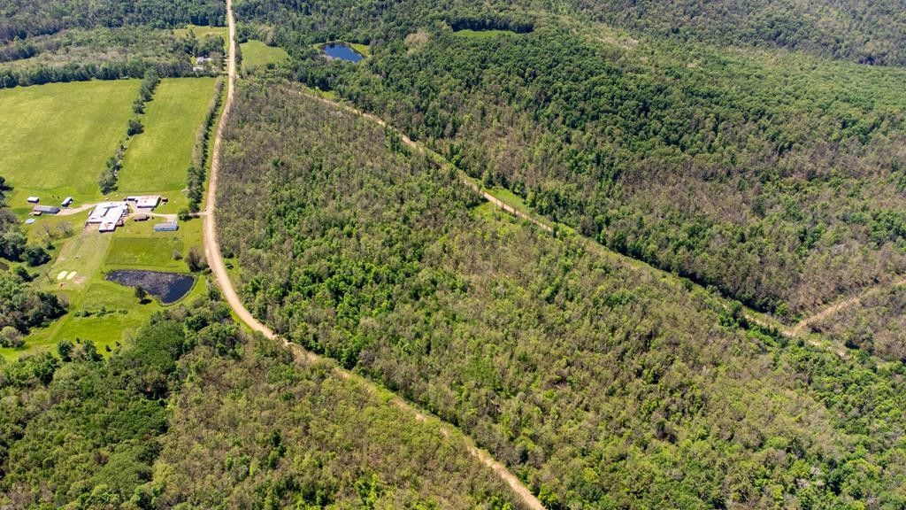 Addison, Steuben County, NY Undeveloped Land for sale Property ID